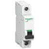 Miniature circuit breaker - MCB - xC60 - 1 pole - 6 A - C curve